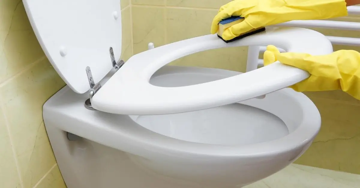 How to Clean a Very Stained Toilet Bowl - Clean and Tidy Living