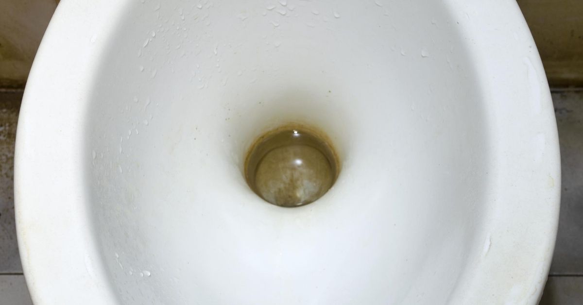 How to Clean a Very Stained Toilet Bowl Clean and Tidy Living