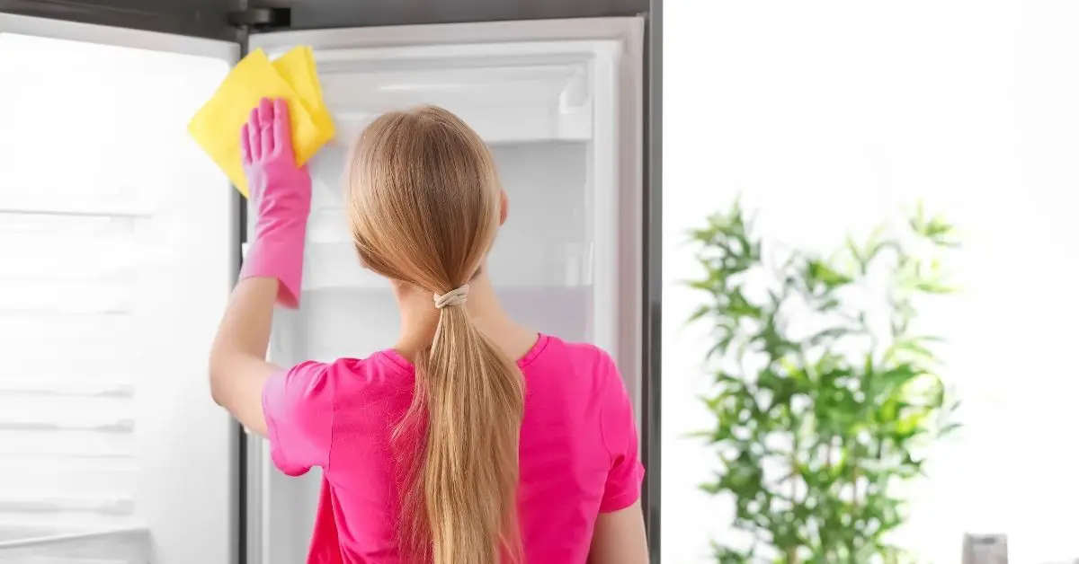 What to Deep Clean Your Fridge With Clean & Tidy Living