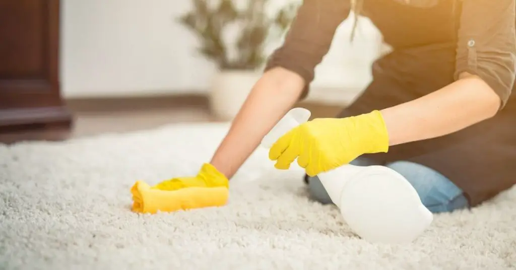 Woman Cleaning and Getting Sick out of a carpet with cleaning product and cloth - Clean and Tidy Living