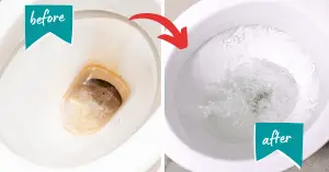 Before and After Removing Limescale - How to Remove Limescale From Toilet Below Waterline - Clean and Tidy Living