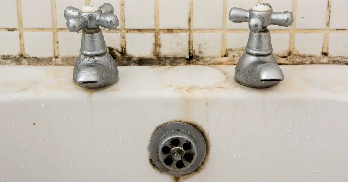 What is the Best Mould Remover UK Clean and Tidy Living