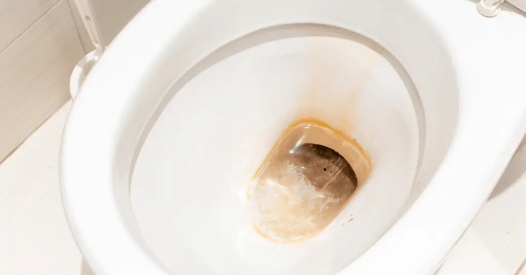 Dirty Toilet - How to Remove Limescale From Toilet Below Waterline - Clean and Tidy Living