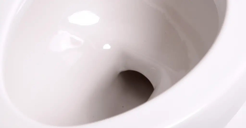 Empty and Clean Loo - How to Remove Limescale From Toilet Below Waterline - Clean and Tidy Living