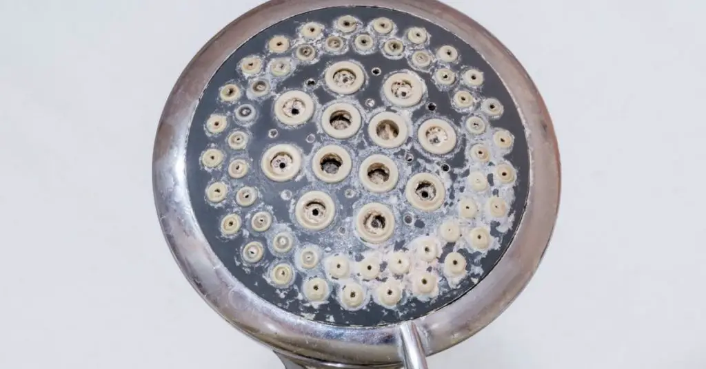 Limescale on Shower - How to Clean a Fixed Shower Head - Clean and Tidy Living