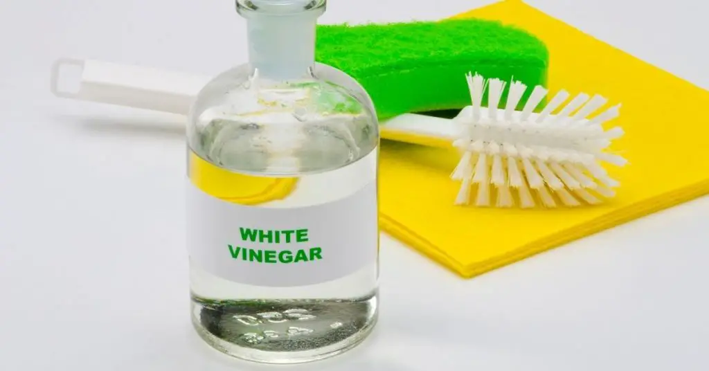 Where to buy white vinegar - Clean and Tidy Living