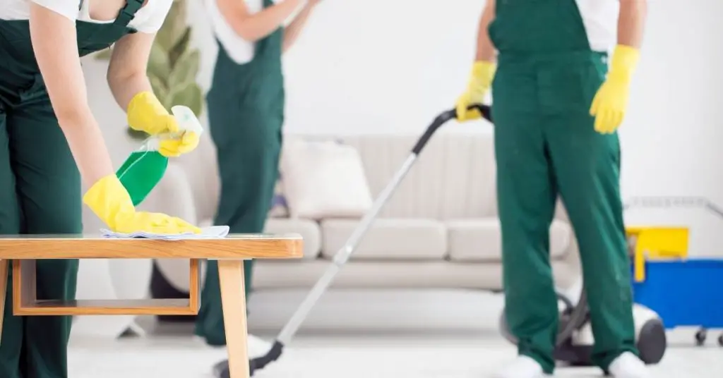 Domestic cleaner - how much do cleaners charge per hour - Clean and Tidy Living 