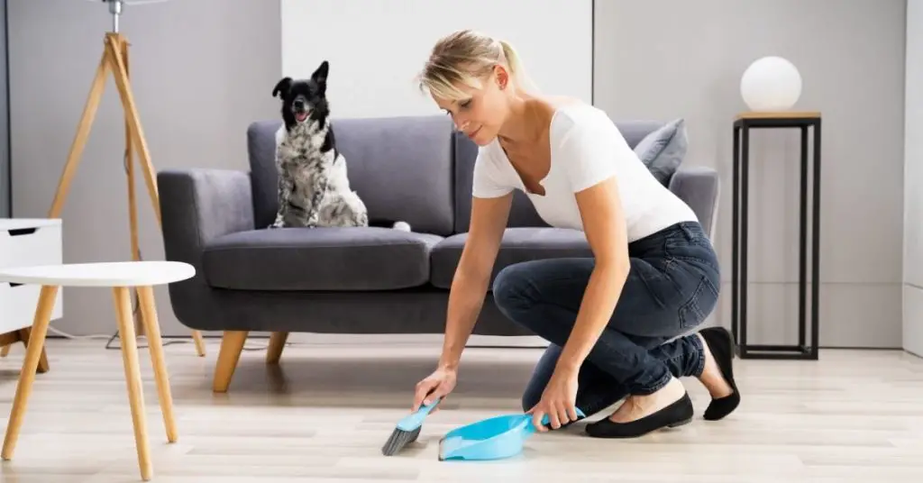 How to Clean your house in 2 hours - Clean and Tidy Living