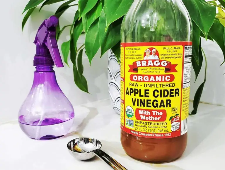 Does Vinegar Kill Mold? Clean and Tidy Living