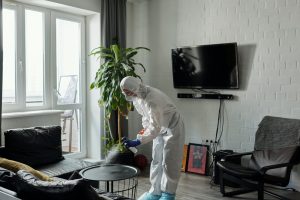 WHAT PRODUCTS DO PROFESSIONAL HOUSE CLEANERS USE